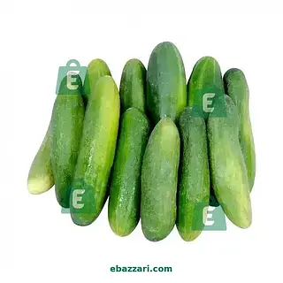 Cucumber | کھیرا