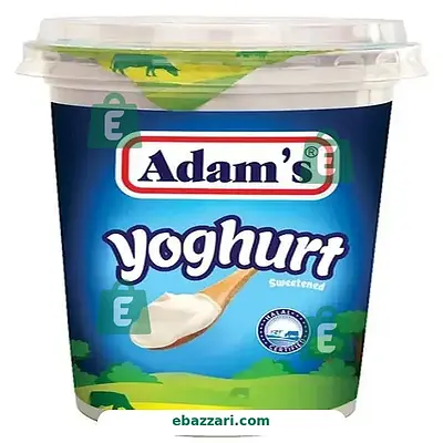 Adam's Yoghurt 400 gm